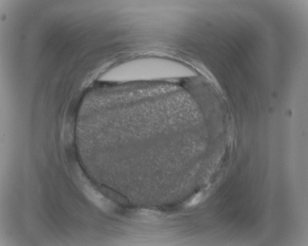 X0000082740393200702240018