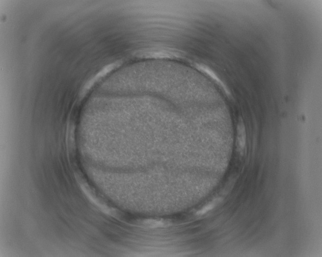 X0000082740394200702240018