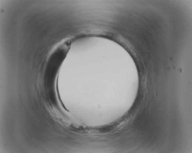 X0000082740395200702240018