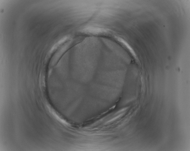 X0000082740399200702240018