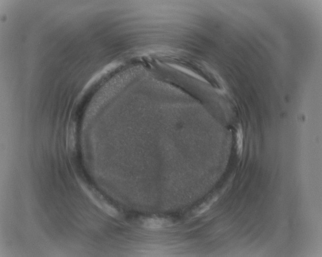 X0000082740400200702240018