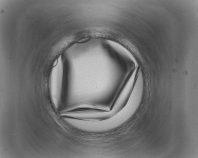 X0000082740401200702240018