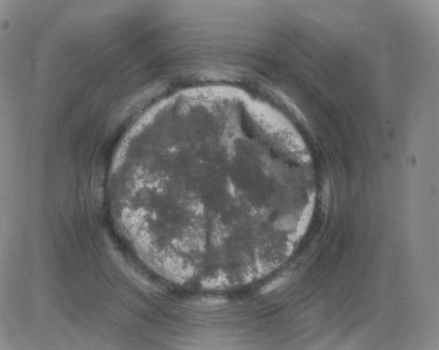 X0000082740402200702240018