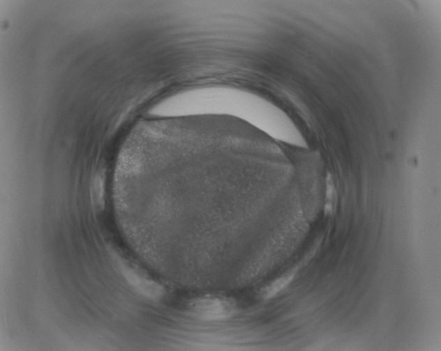 X0000082740404200702240018