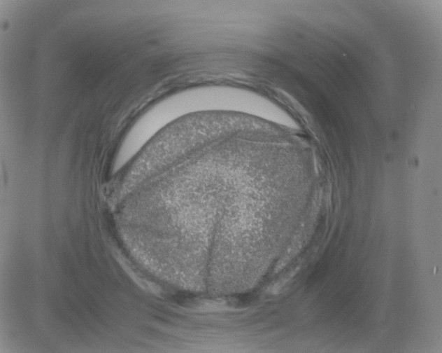 X0000082740405200702240018