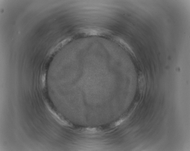 X0000082740406200702240018