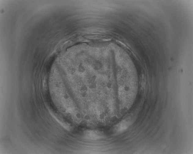 X0000082740408200702240018