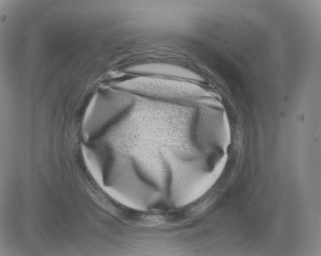 X0000082740409200702240018