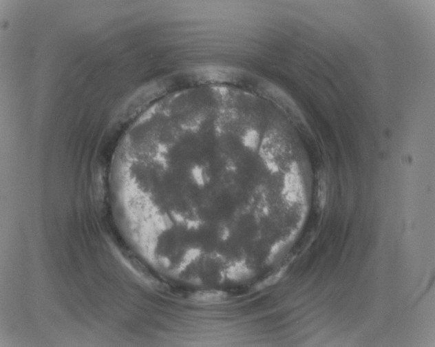 X0000082740410200702240018