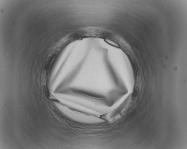 X0000082740413200702240018