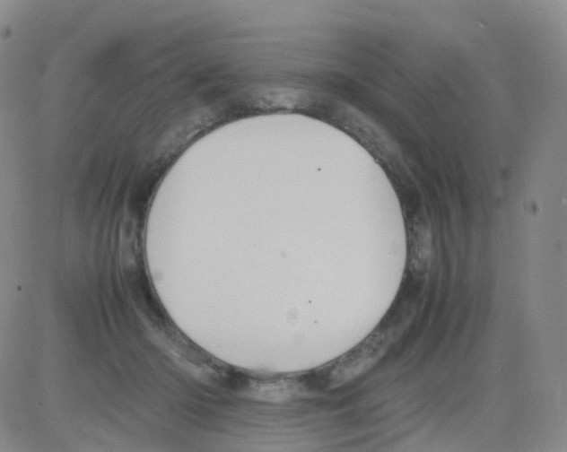 X0000082740414200702240018