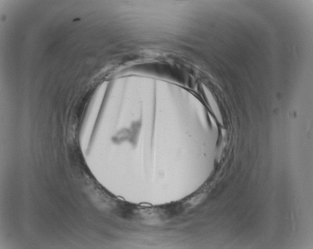 X0000082740417200702240018