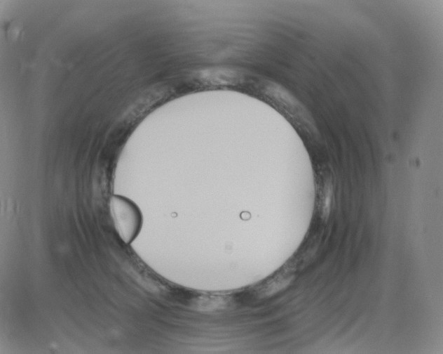 X0000082740418200702240018