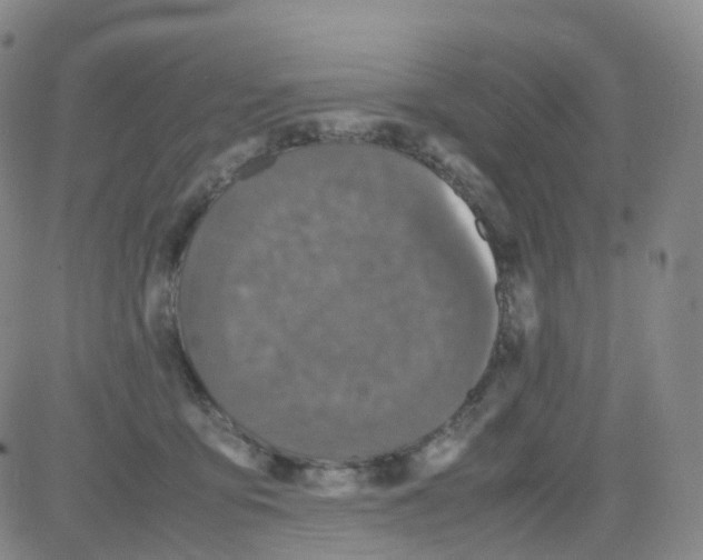 X0000082740419200702240018