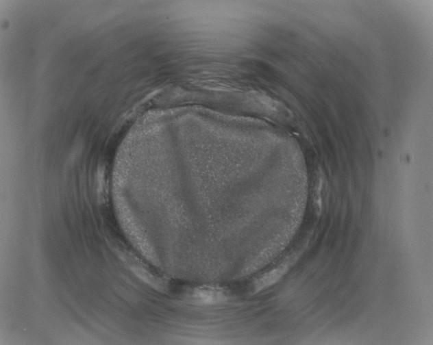 X0000082740420200702240018