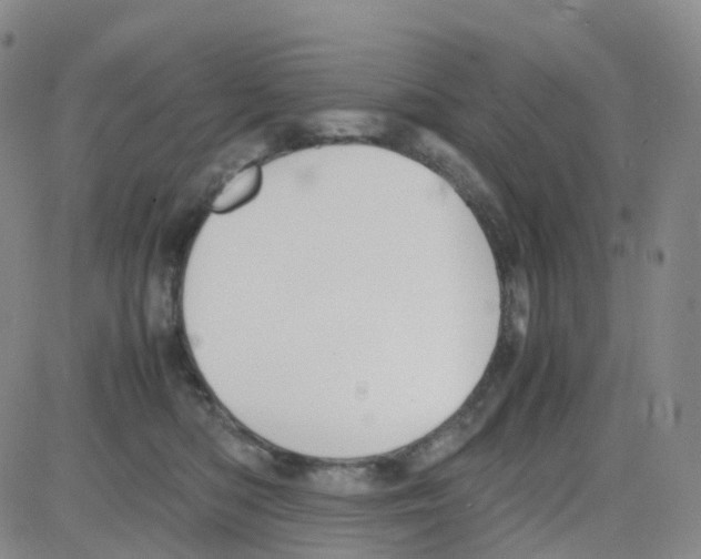 X0000082740422200702240018