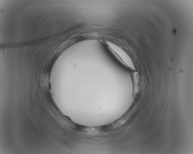 X0000082740425200702240018