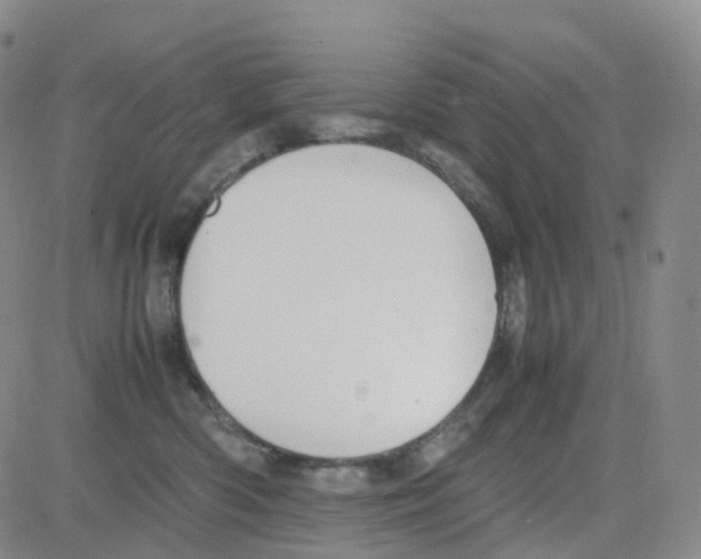 X0000082740426200702240018