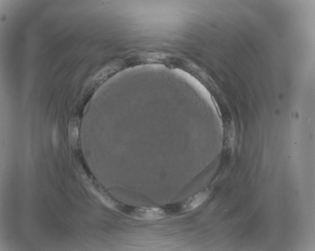 X0000082740427200702240018