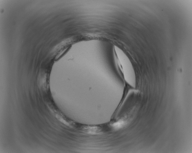 X0000082740428200702240018