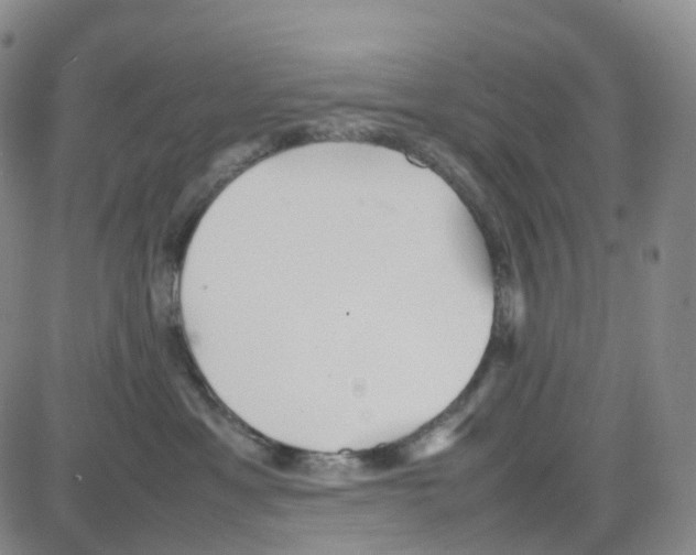 X0000082740429200702240018