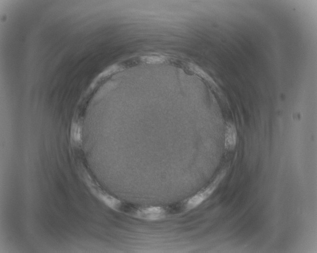 X0000082740431200702240017