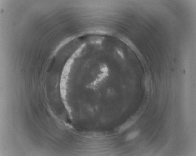 X0000082740434200702240017