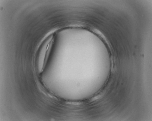 X0000082740435200702240017