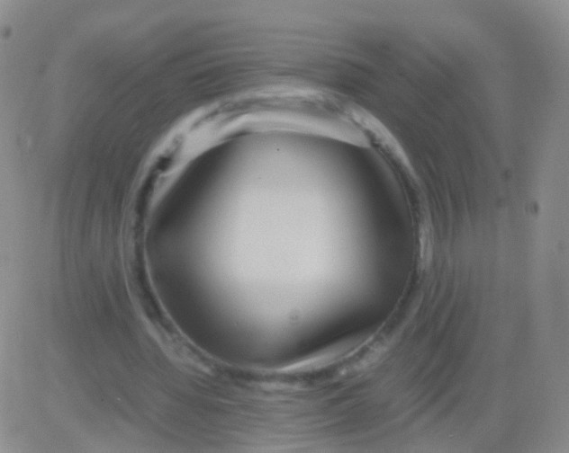 X0000082740436200702240017