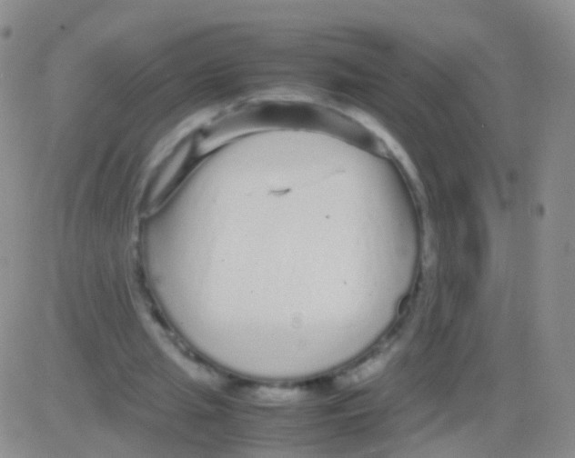 X0000082740437200702240017