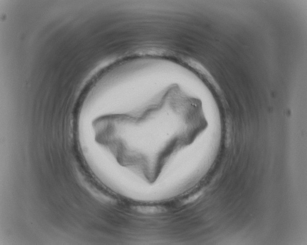 X0000082740439200702240017