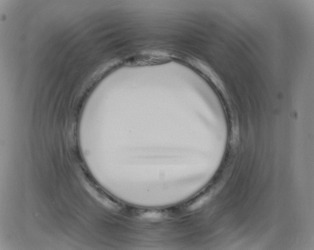 X0000082740441200702240017