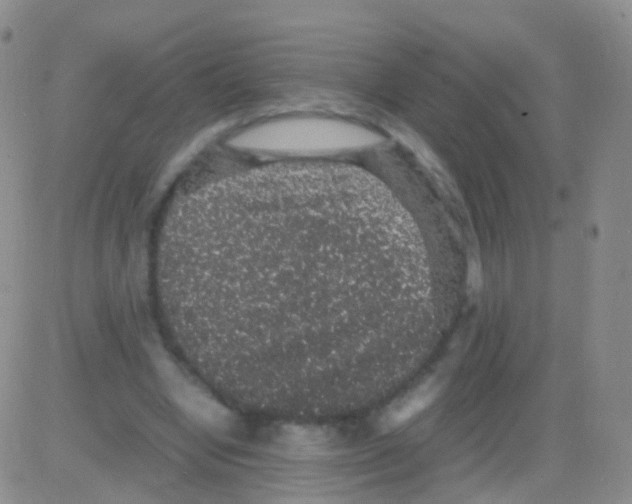 X0000082740442200702240017