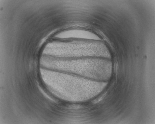 X0000082740444200702240017