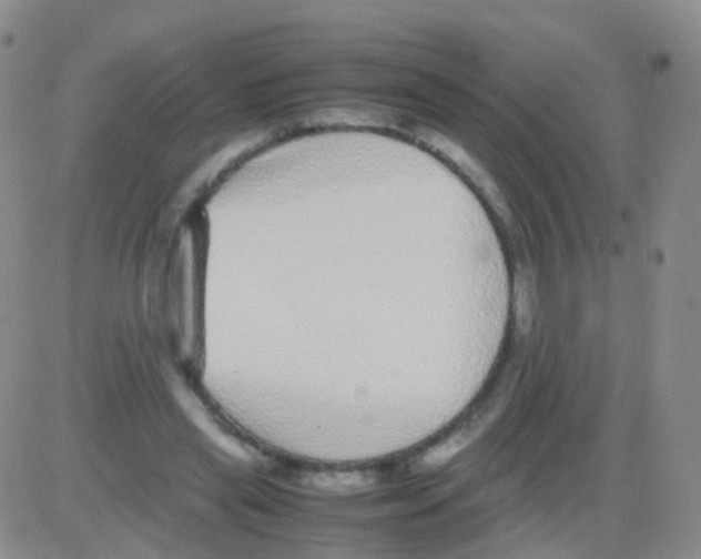 X0000082740445200702240017