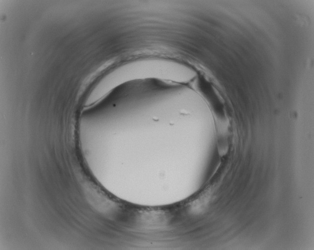 X0000082740446200702240017