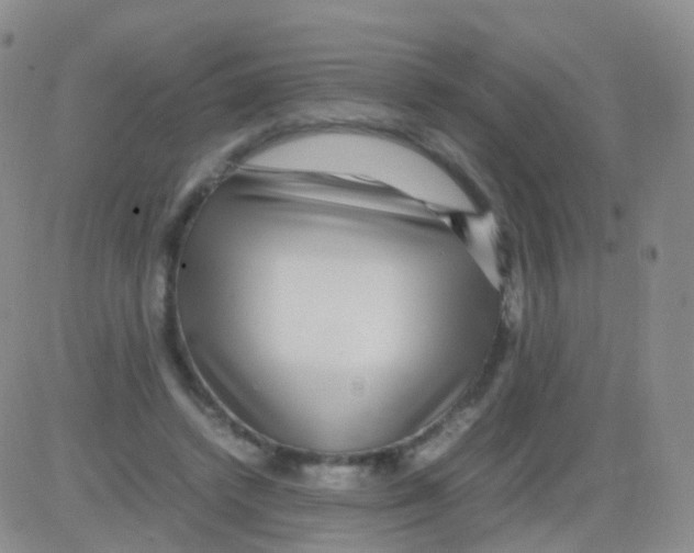 X0000082740448200702240017