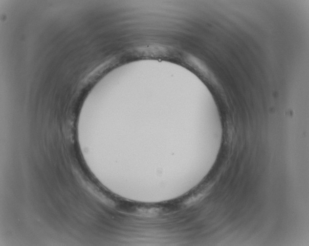 X0000082740450200702240017