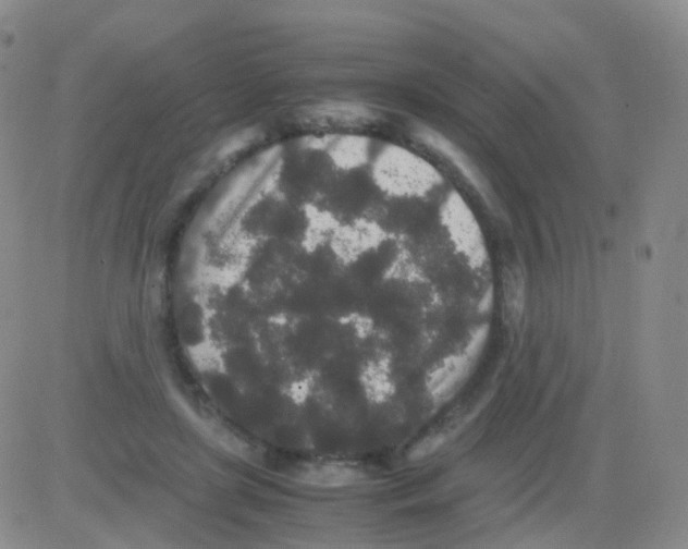 X0000082740451200702240017