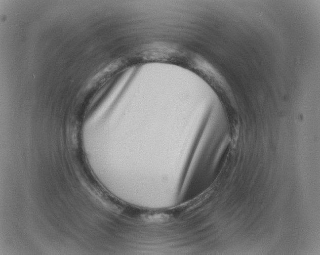 X0000082740452200702240017