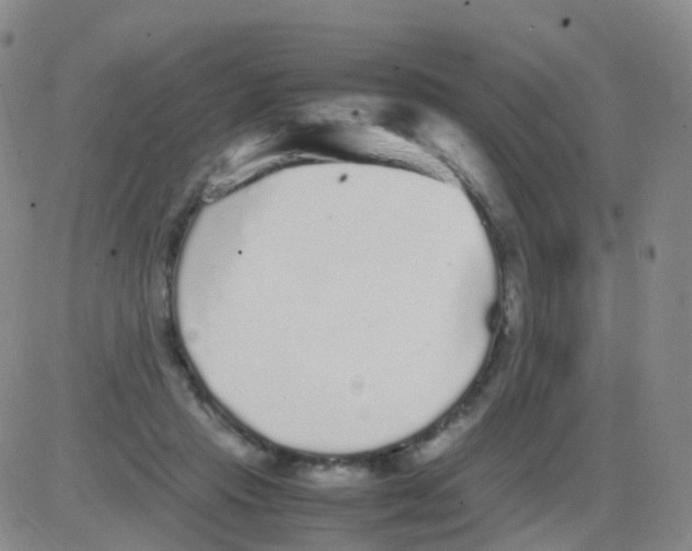 X0000082740453200702240017