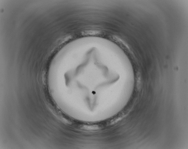 X0000082740455200702240017