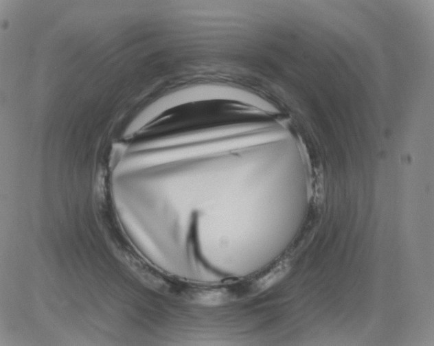 X0000082740456200702240017