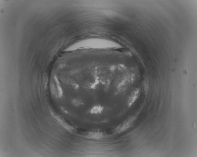 X0000082740458200702240017