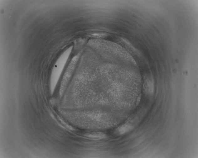 X0000082740459200702240017