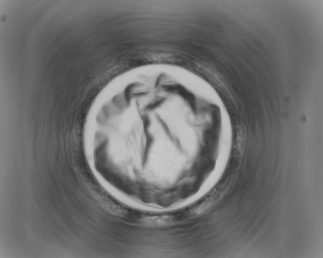 X0000082740461200702240017