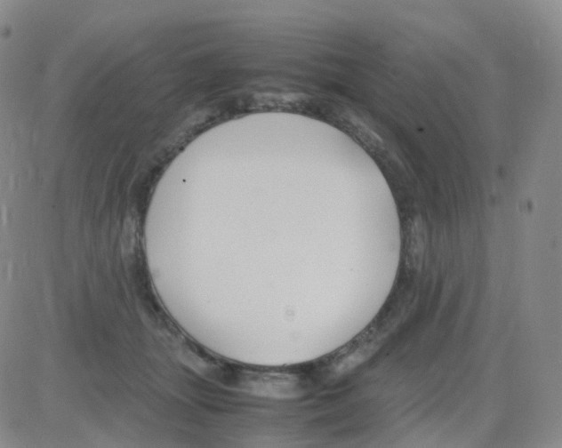 X0000082740463200702240017