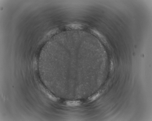 X0000082740465200702240017