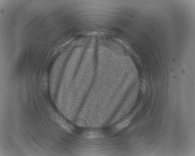 X0000082740466200702240017