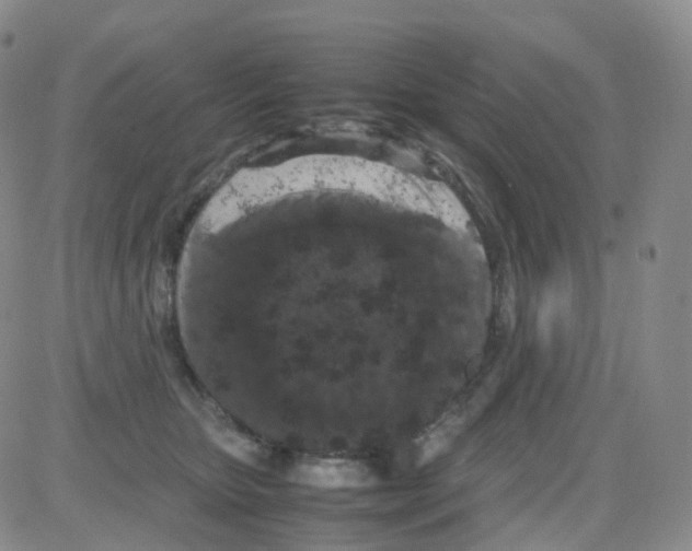 X0000082740467200702240017